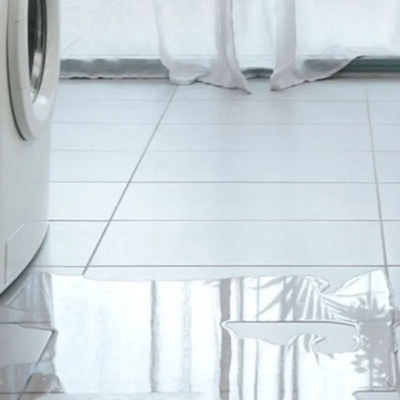 Appliance Leak Cleanup in Gun Barrel City, TX