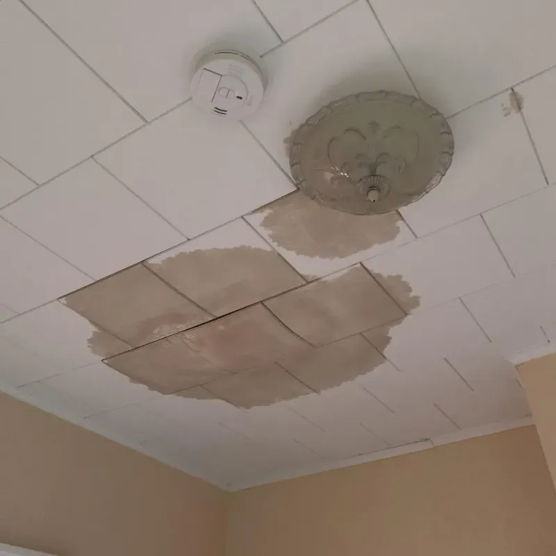 Ceiling Water Damage Repair in Gun Barrel City, TX